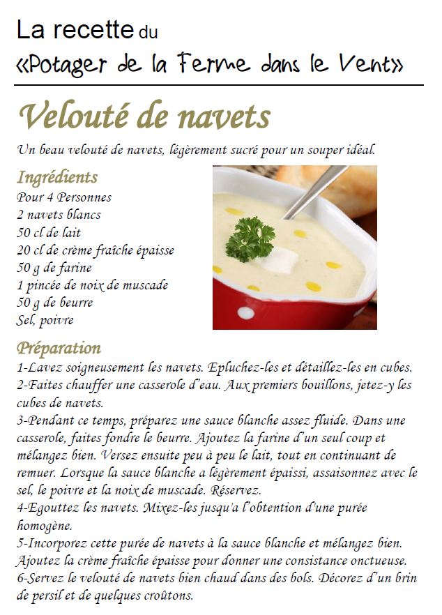 Velouté De Navets